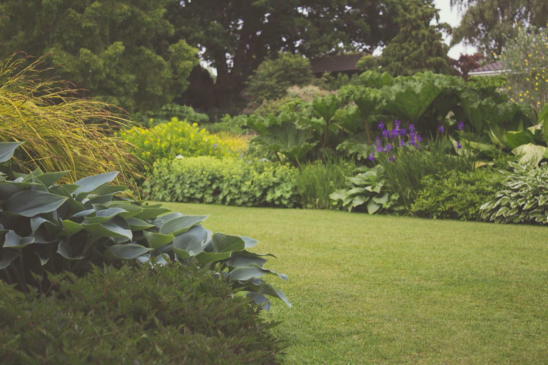 Tidy garden borders around a freshly mown lawn