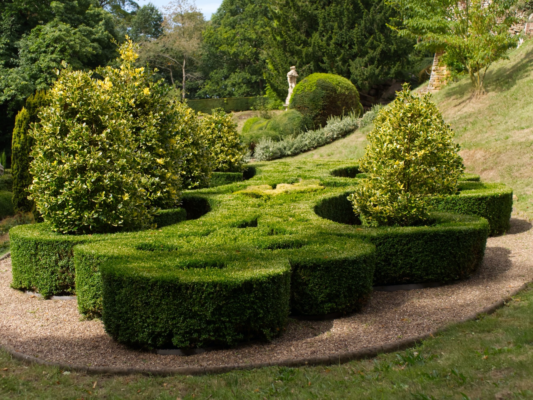 Neatly clipped hedges and shaped shrubs